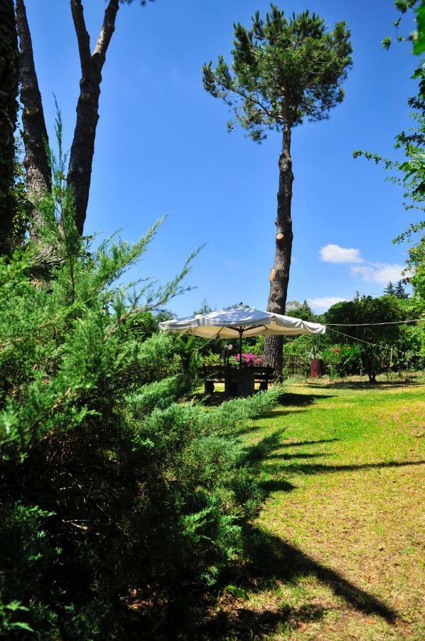B&B Casa Di Antonio_Etna Vacanze Trecastagni Luaran gambar